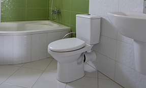 مرحاض مونوبلك D-code 